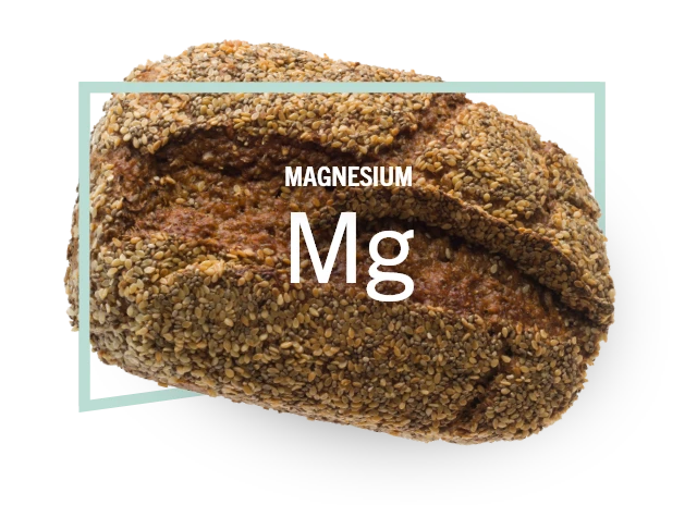 taxofit-mineralstoffe-magnesium.webp